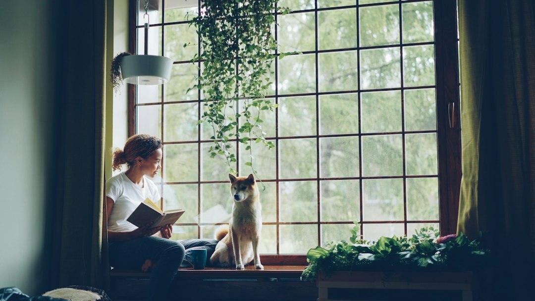 woman reading book by window